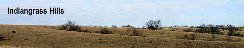 Indiangrass Hills